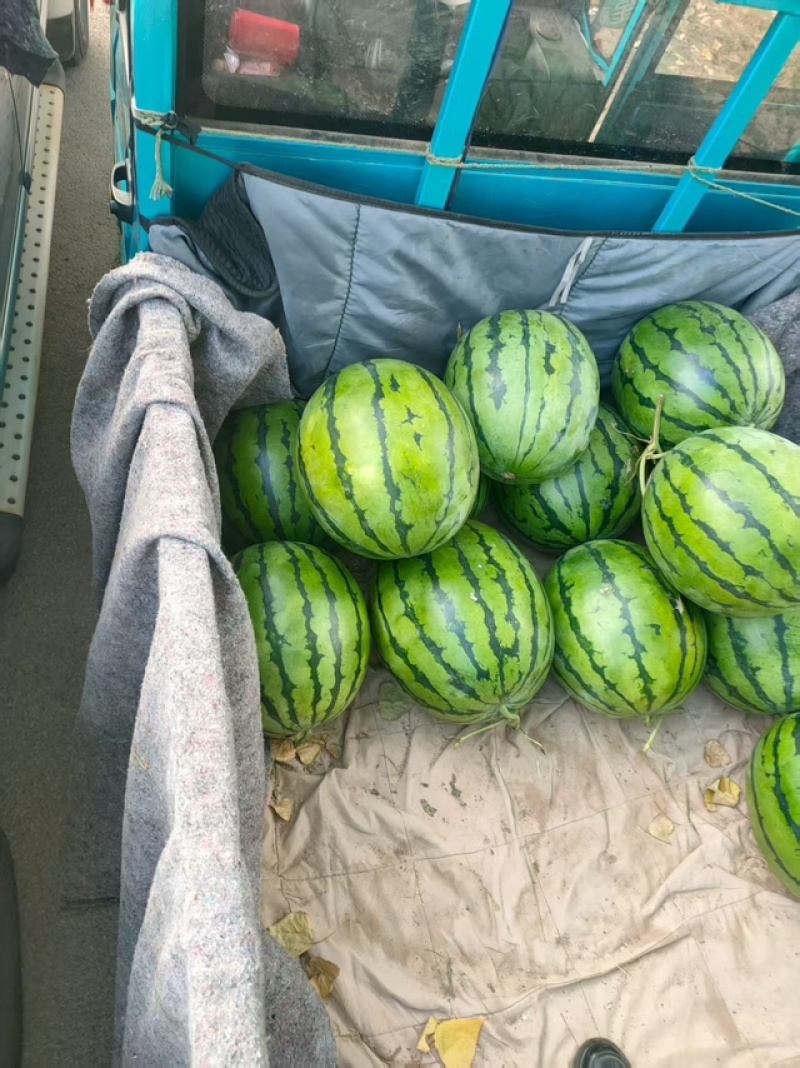 地雷瓜东北地雷西瓜精品发货提供装车服务