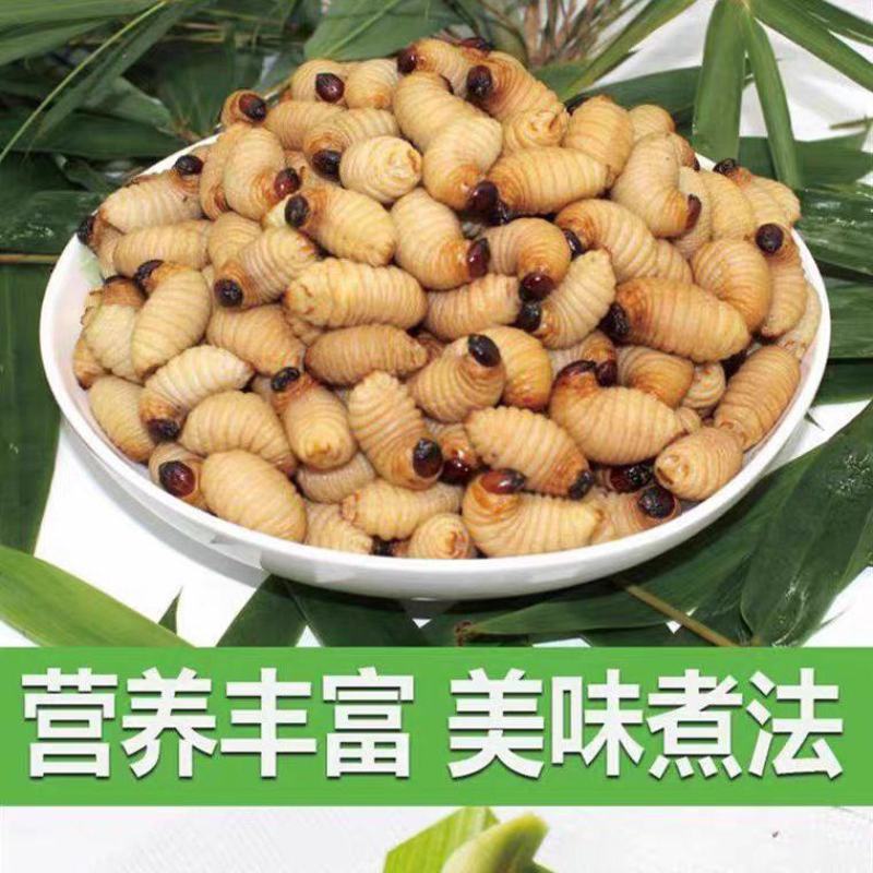 竹笋虫