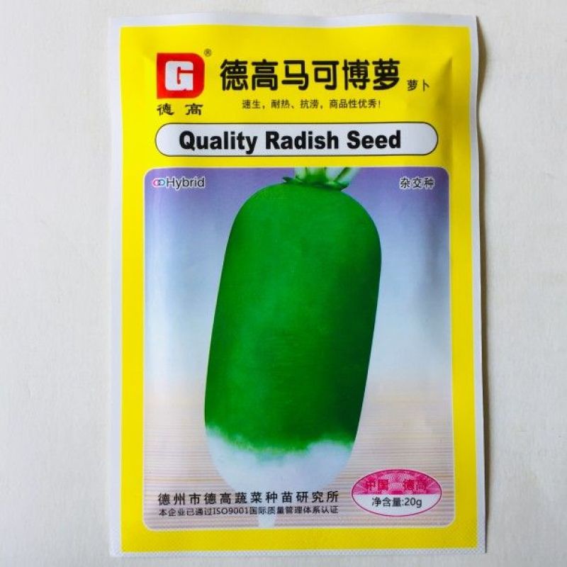 德高马可博萝水果萝卜种子佳美一号青萝卜渤丰韩青秋季萝卜种