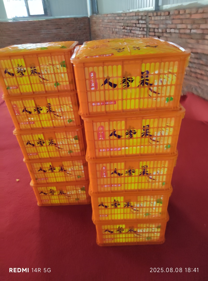 人参果