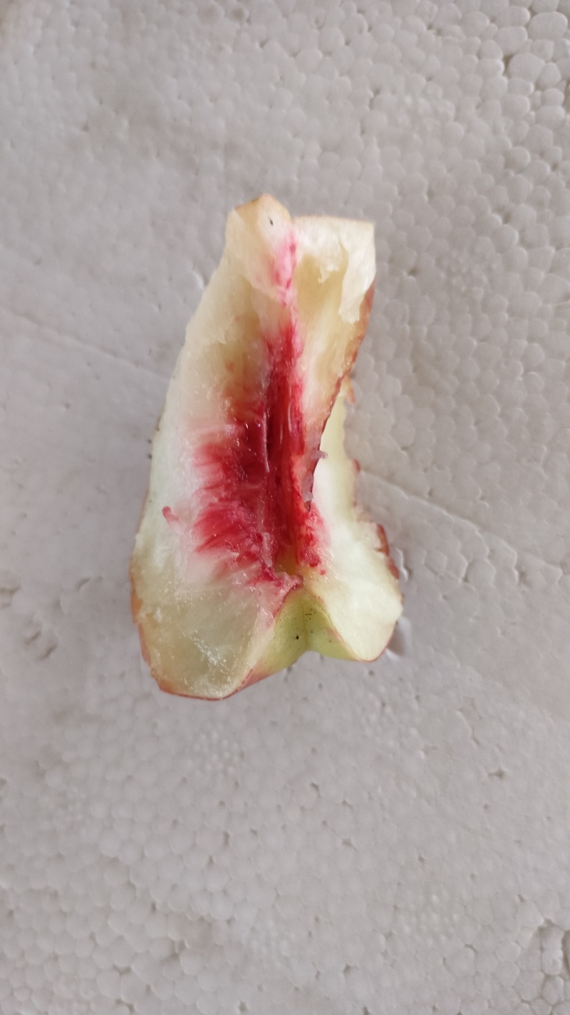 珍珠枣油桃