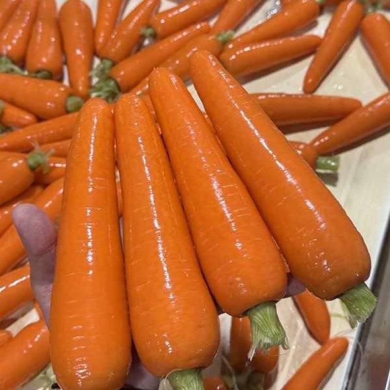 三红胡萝卜产地一手货源量大欢迎随时电话联系