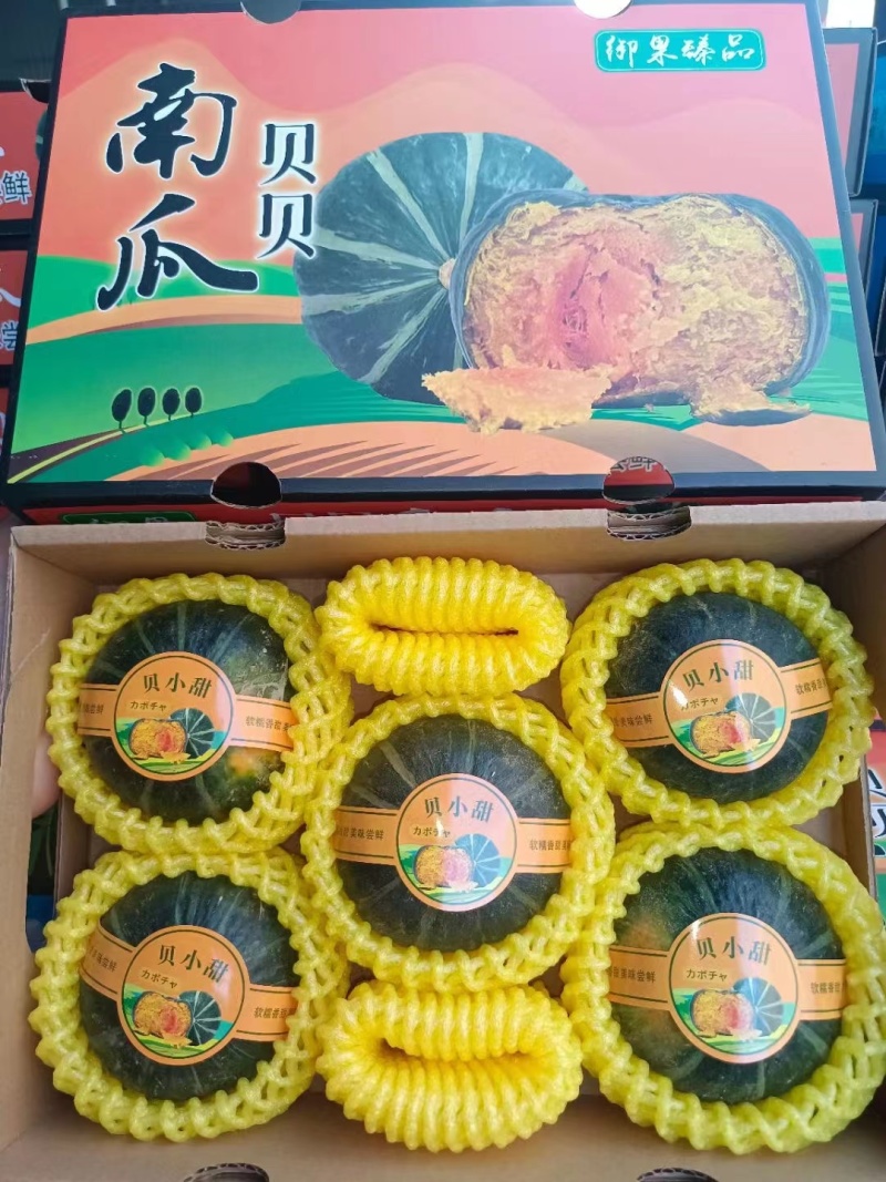 贝贝南瓜
