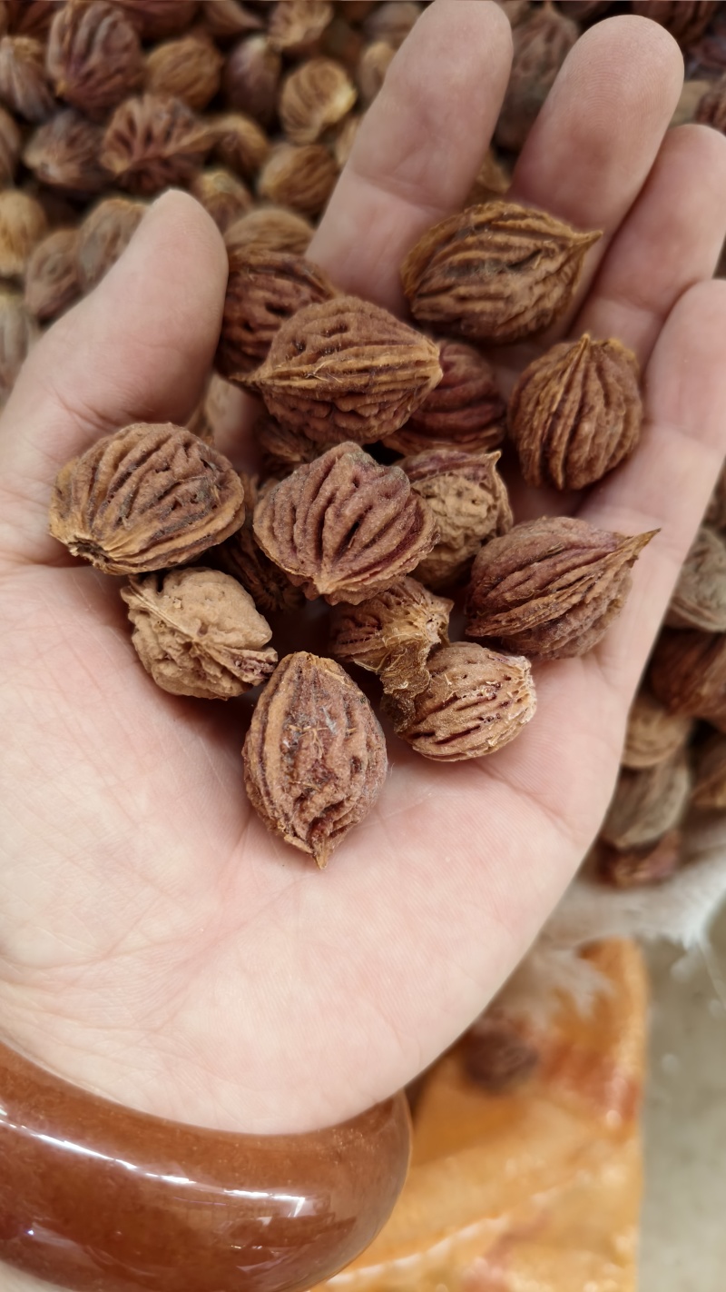 新鲜桃核出售
