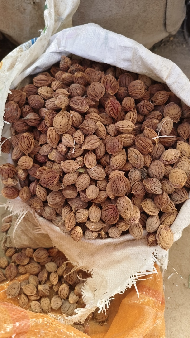 新鲜桃核出售