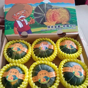 贝贝南瓜