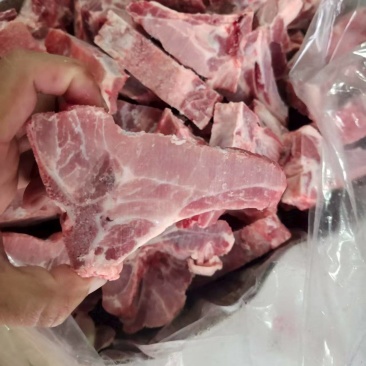 多肉龙骨块