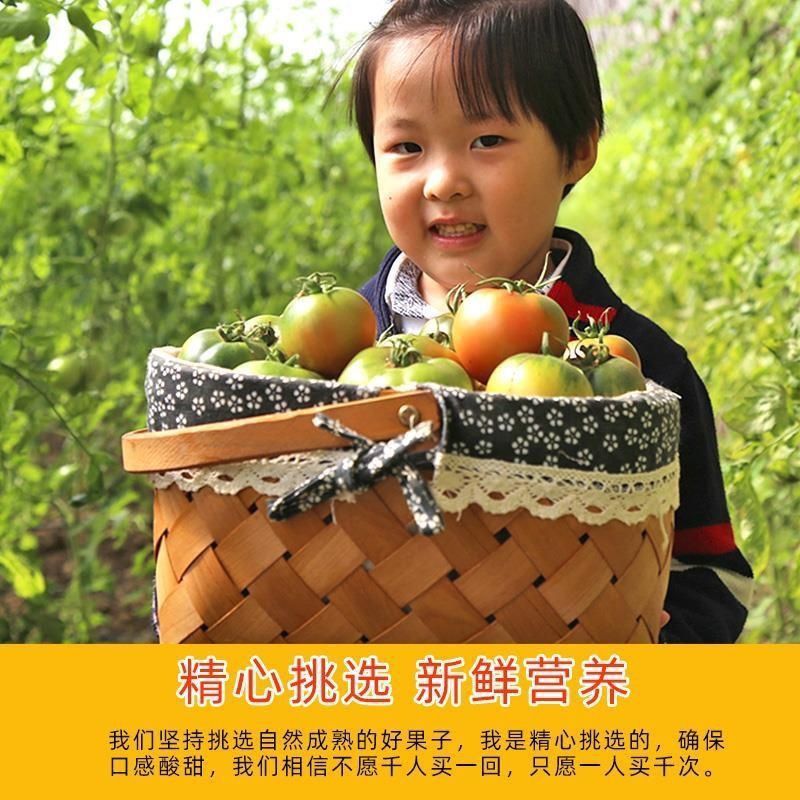 正宗草莓西红柿铁皮西红柿新鲜生吃番茄当季酸甜柿子