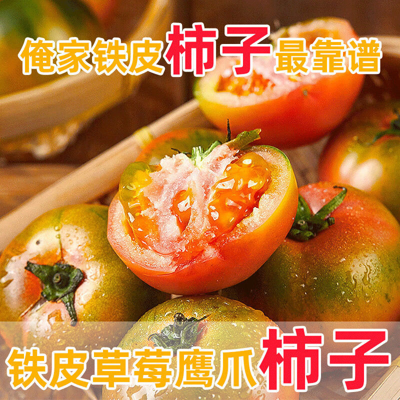 正宗草莓西红柿铁皮西红柿新鲜生吃番茄当季酸甜柿子