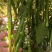 3号线椒