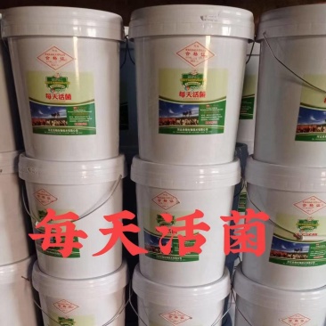 每天活菌
