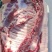 散养黑猪肉，一年以上