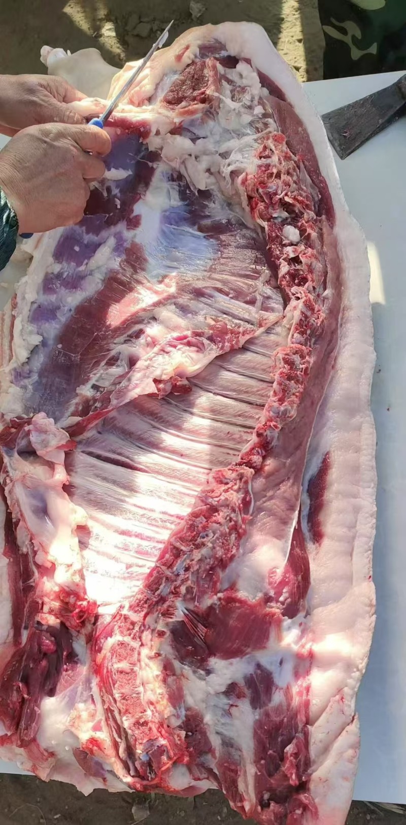 散养黑猪肉，一年以上