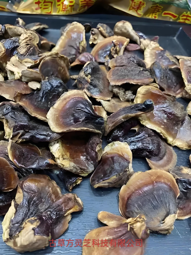 正宗金边灵芝产地批发价优电商供货泡茶泡酒煲汤菌香浓郁