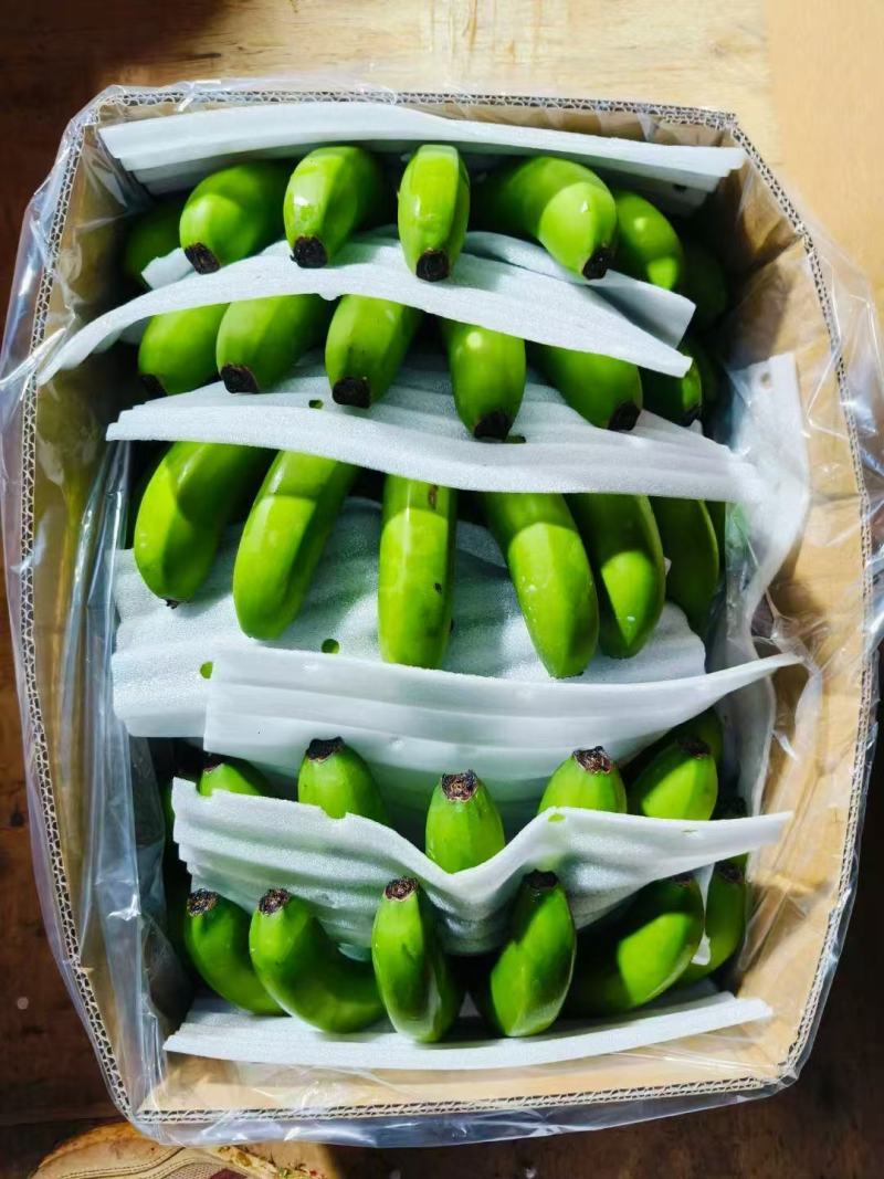 精品香蕉批发