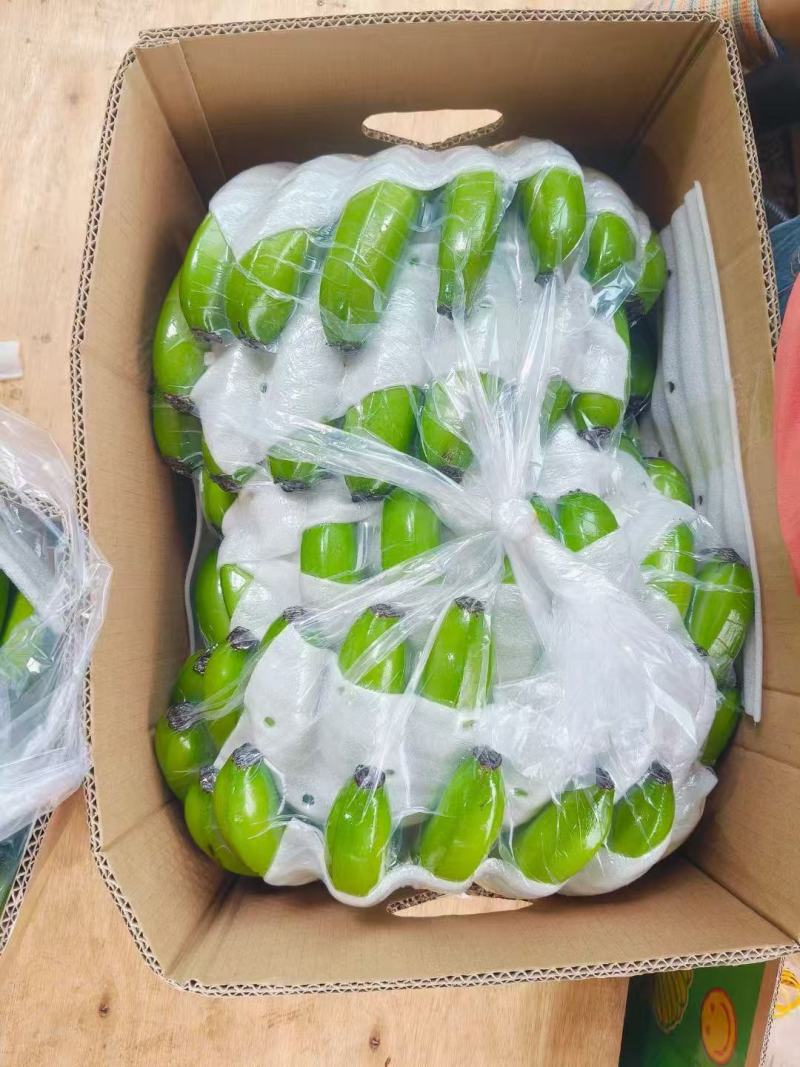 精品香蕉批发