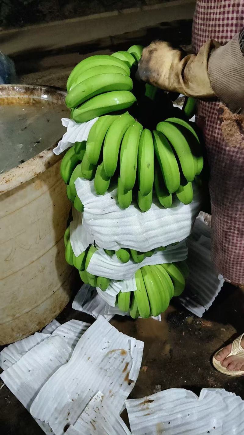 精品香蕉批发