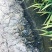 盘锦河蟹稻田蟹辽蟹六月黄超市团购毛蟹各种规格供应