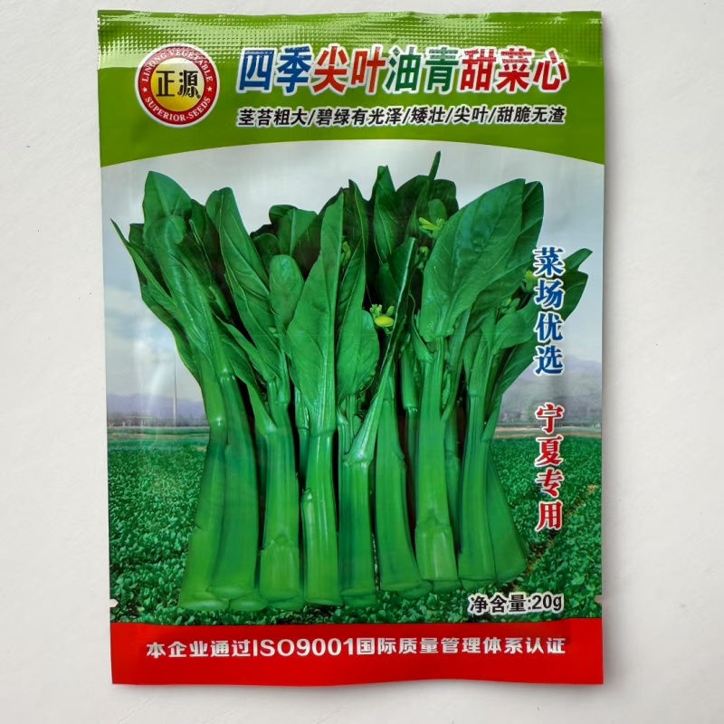 澳洲油青甜脆菜心杂交种子绿菜心种孑纤维少抗病菜苔种子
