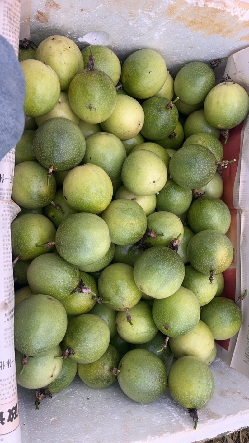 钦蜜9号百香果工厂货大量供应