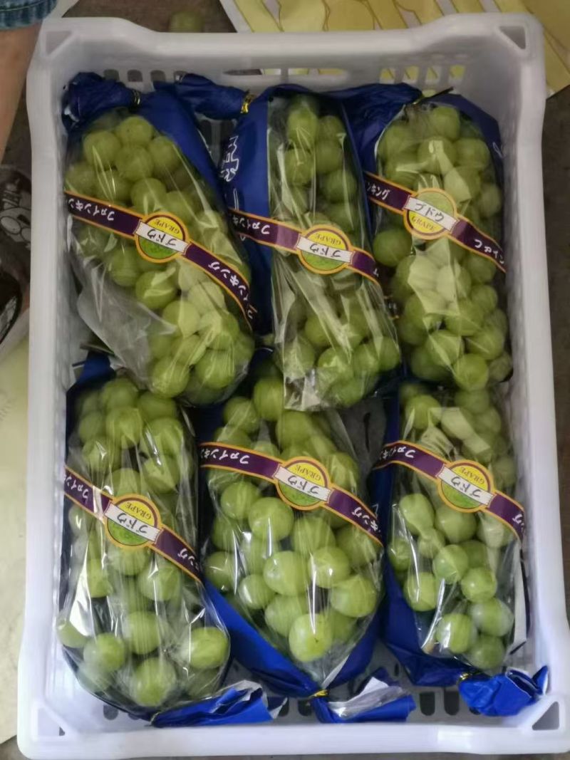 大荔县阳光玫瑰，产地直供全国发货量大从优支持视频看货