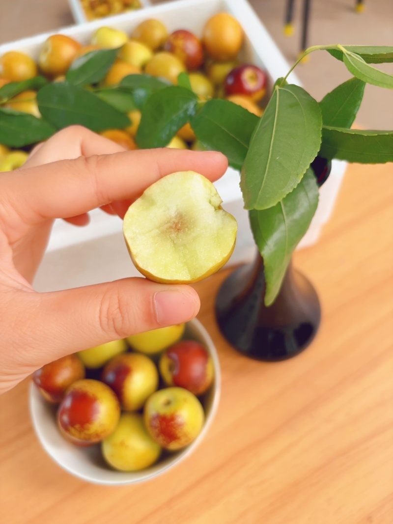 【电商代发】大荔冬枣脆甜好吃新鲜水果冬枣大枣
