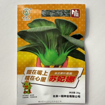 矮脚苏州青新鲜青梗菜叶菜让软糯香甜小白菜四季播蔬菜