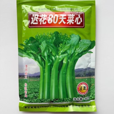80天菜心种子油绿菜苔种子农家菜芯种籽南方蔬菜种孑