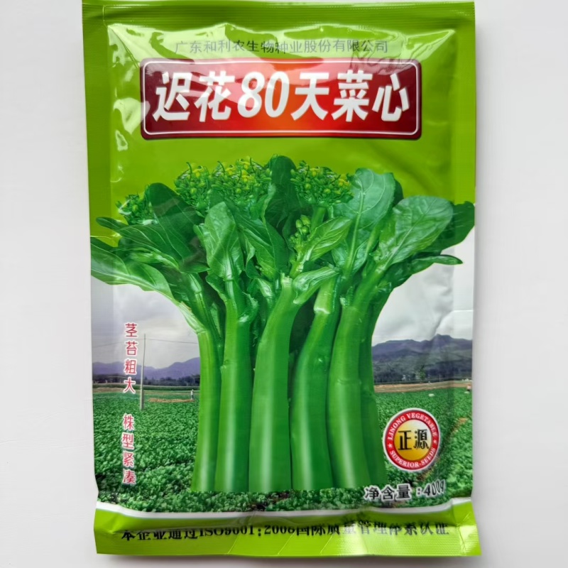 80天菜心种子油绿菜苔种子农家菜芯种籽南方蔬菜种孑