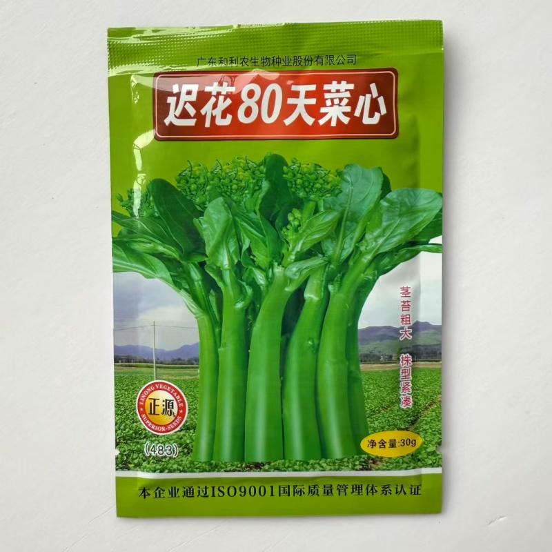 80天菜心种子油绿菜苔种子农家菜芯种籽南方蔬菜种孑