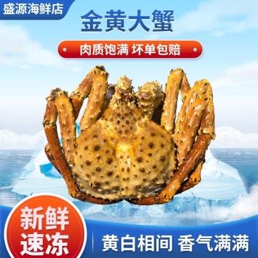 精选黄金帝王蟹生冻棕帝王蟹鲜活速冻海鲜特大皇帝蟹冻品冷