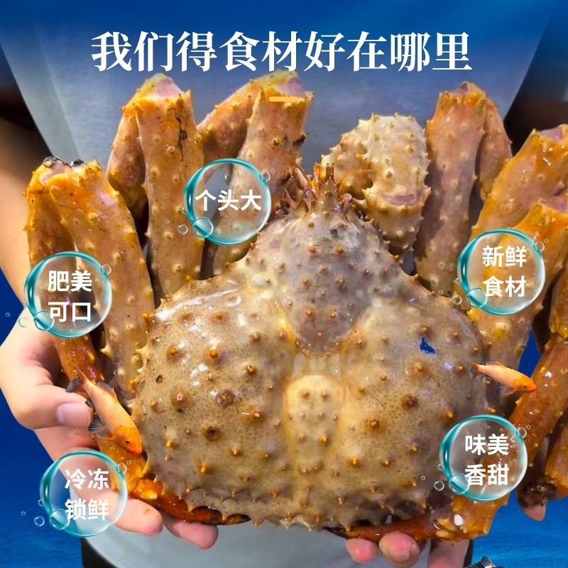 精选黄金帝王蟹生冻棕帝王蟹鲜活速冻海鲜特大皇帝蟹冻品冷