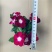 长春花盆栽天天开带花苞观花植物五叶梅庭院客厅盆栽花卉四季开花