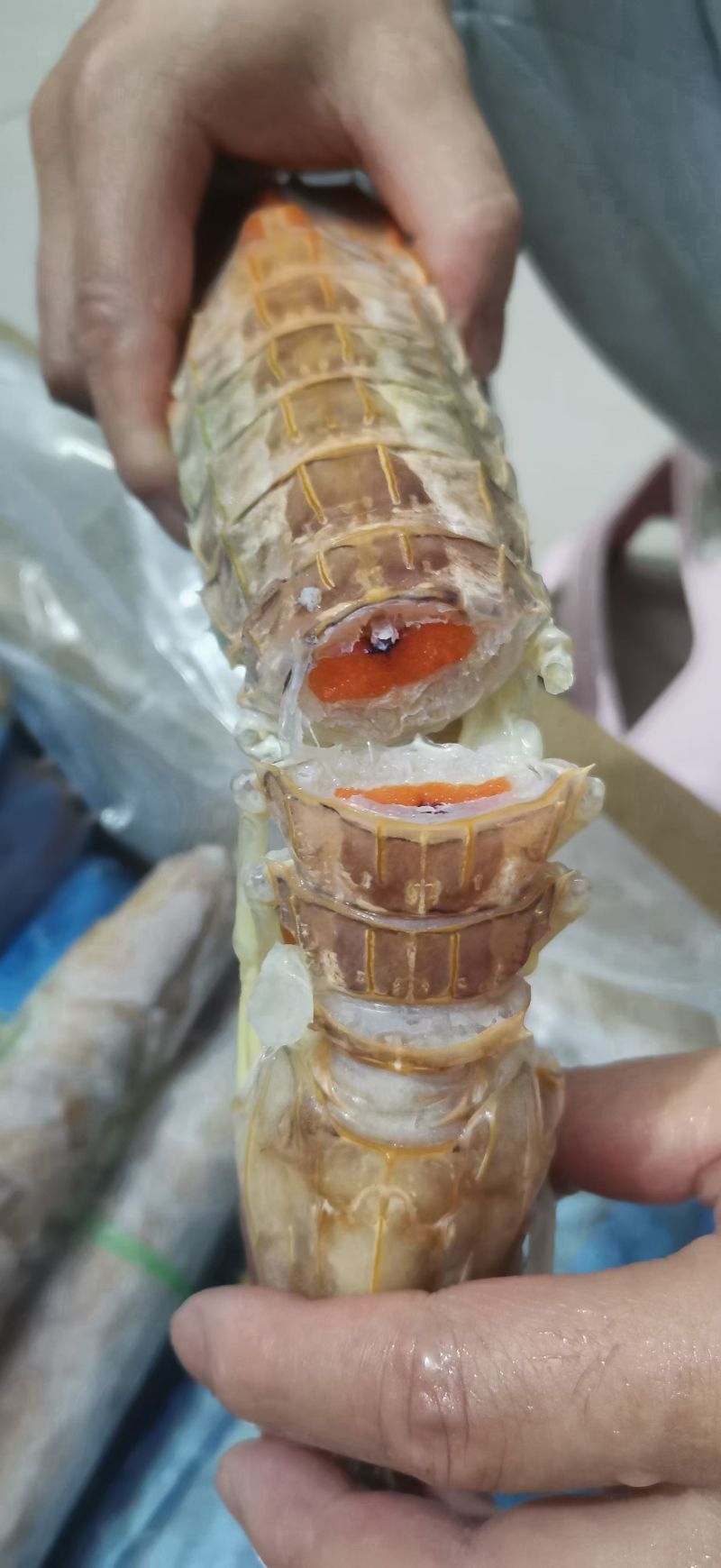 巨大皮皮虾泰国富贵虾特大号手臂濑尿虾鲜活速冻冷冻水产超大