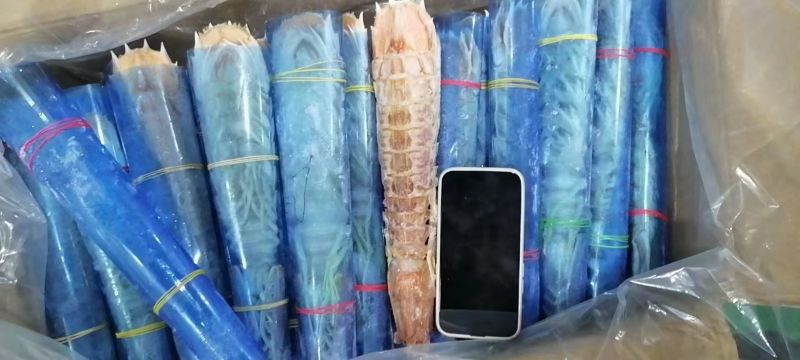 巨大皮皮虾泰国富贵虾特大号手臂濑尿虾鲜活速冻冷冻水产超大