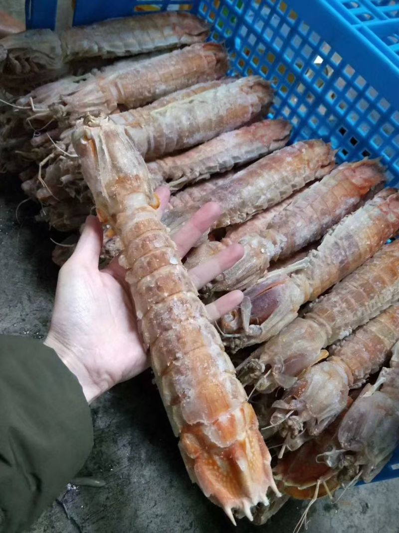 巨大皮皮虾泰国富贵虾特大号手臂濑尿虾鲜活速冻冷冻水产超大