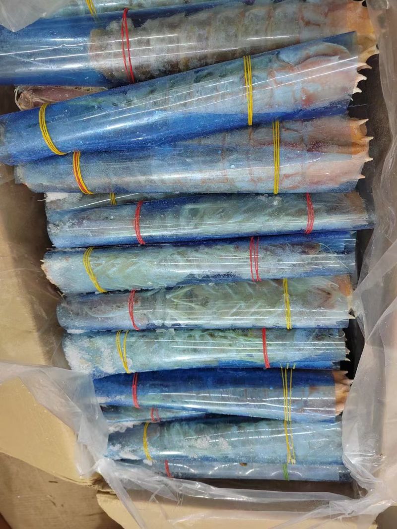 巨大皮皮虾泰国富贵虾特大号手臂濑尿虾鲜活速冻冷冻水产超大
