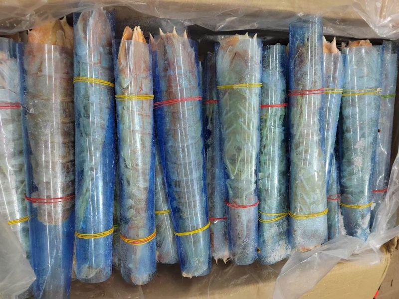 巨大皮皮虾泰国富贵虾特大号手臂濑尿虾鲜活速冻冷冻水产超大
