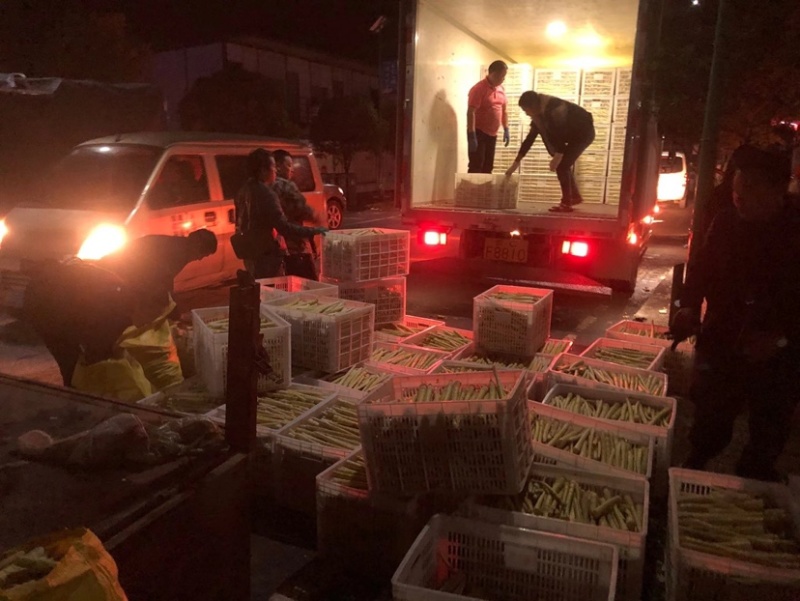 新鲜方竹笋带壳笋去壳笋产地直发