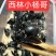 广西广东竹筒蜂，个头大