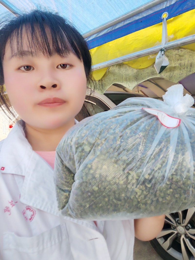云南省昭通市彝良县自家农户青花椒