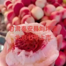 甘肃省天水市秦安县刘坪镇北京七号桃北京9号桃