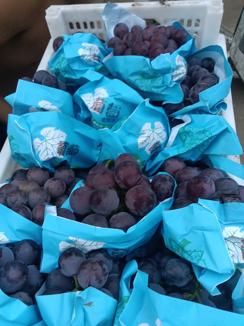 乒乓球滕忍露天货葡萄团购电商市场货精品二级果