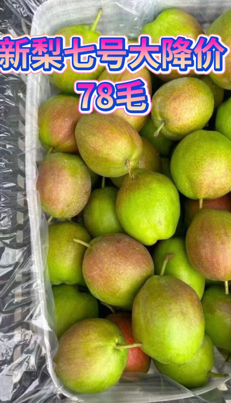 赵县梨新梨7号口感好欢迎来电了解