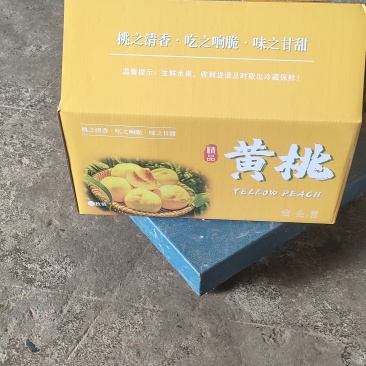 绵锈黄桃