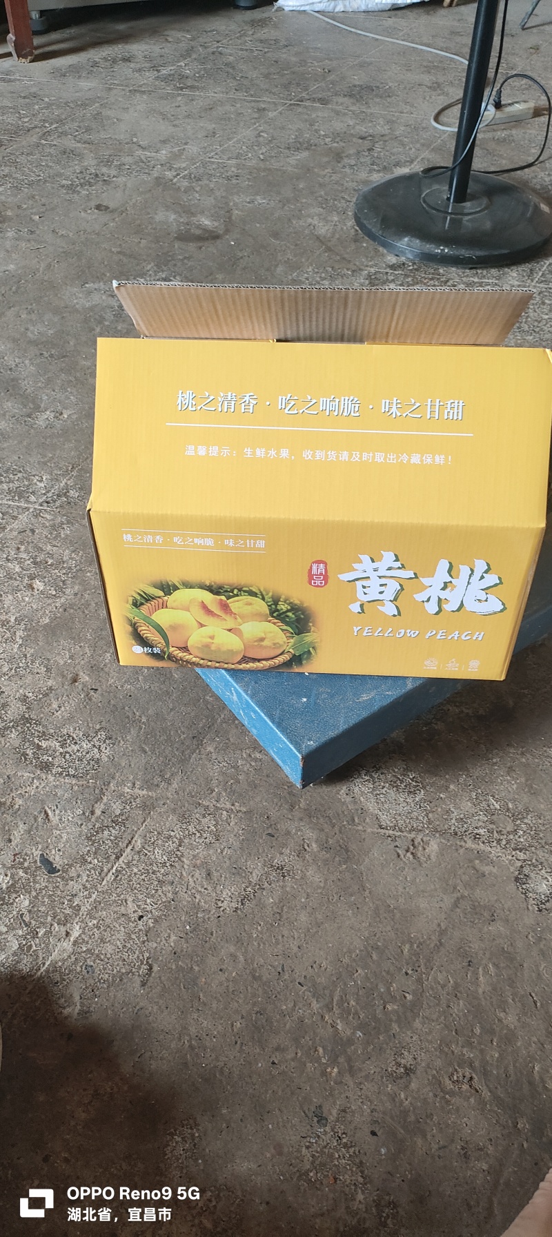 绵锈黄桃