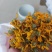 洋姜花鬼子姜胰岛花花茶