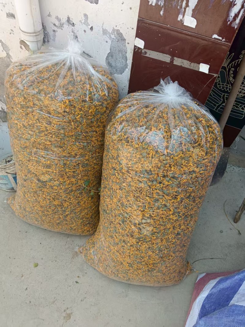 洋姜花鬼子姜胰岛花花茶