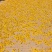 洋姜花鬼子姜胰岛花花茶