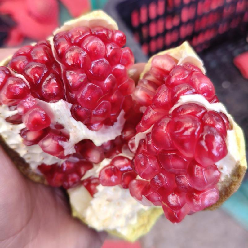 突尼斯软籽石榴大量供应